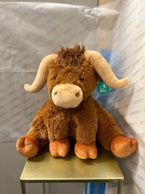 Horny Highland Cow 30cm